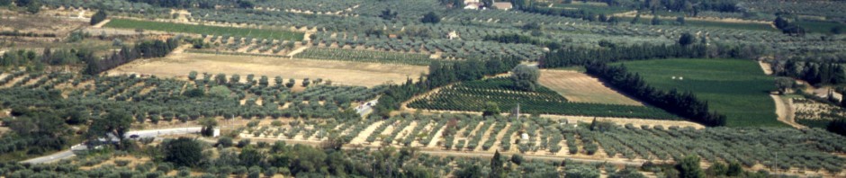 Les Alpilles