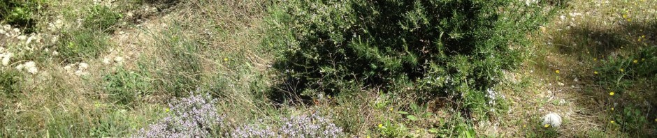 Nature et progrés