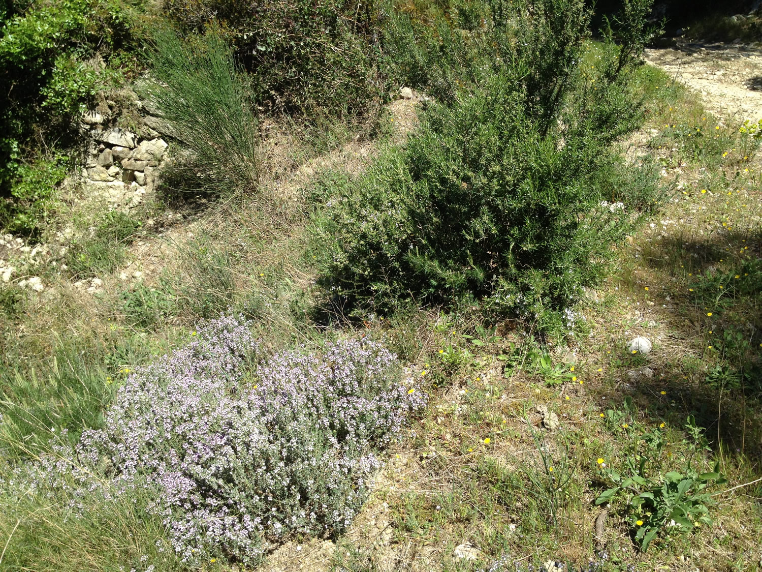 Nature et progrés